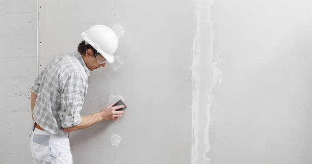 Best Mold Damage Restoration  in Badger, AK