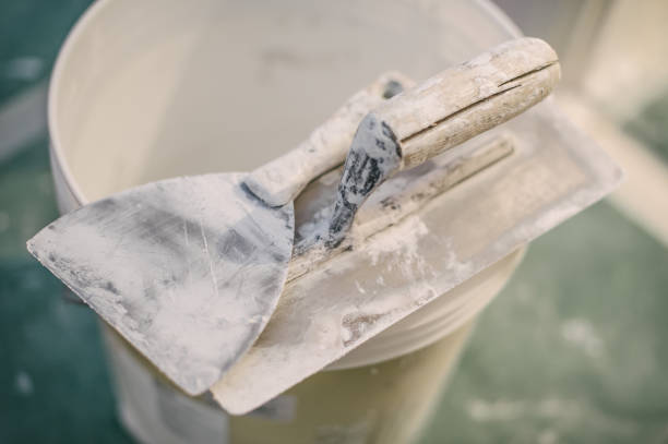 Best Forensic Mold Investigation  in Badger, AK